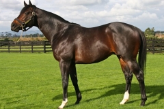 Great-Britain_compressed