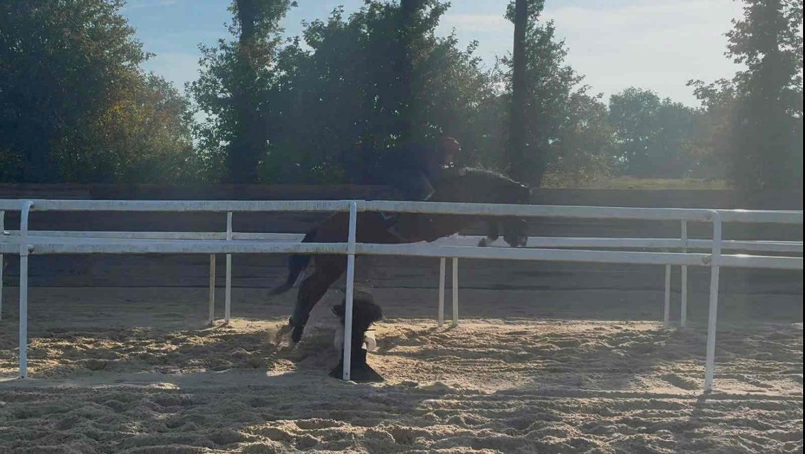 Tossed Salad ‘leaves the ground’