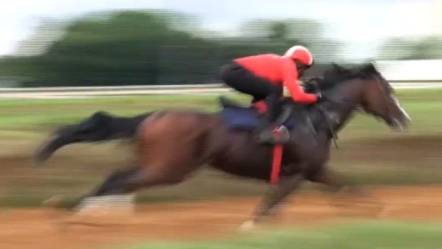 The Equator goes through his gears!
