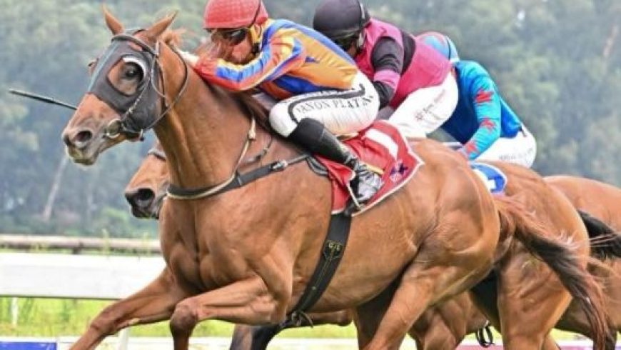 They’re all ‘running along’ nicely