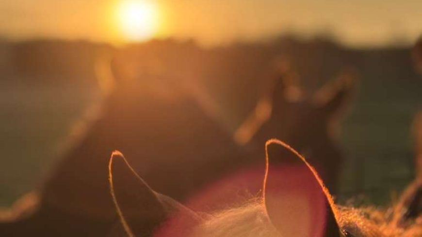 Sunsets at Heversham