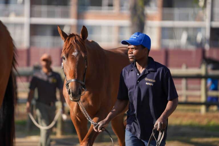 An early look at our National Sale entries