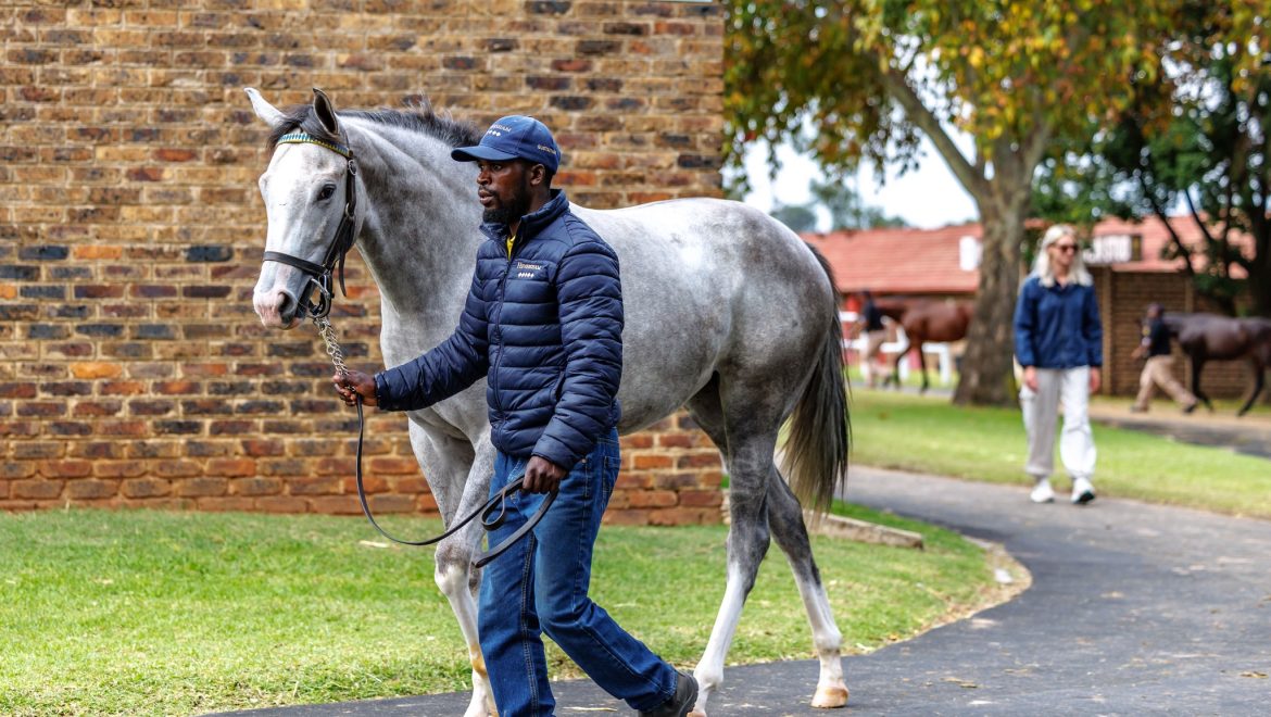 Thank you to our team and buyers