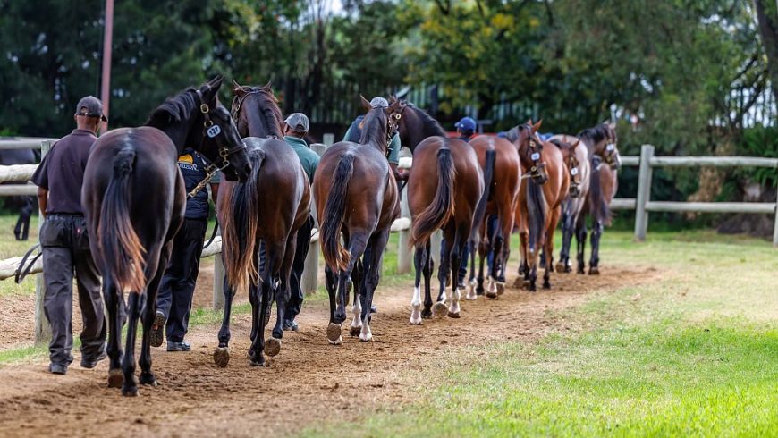 NYS delivers a big set of results!