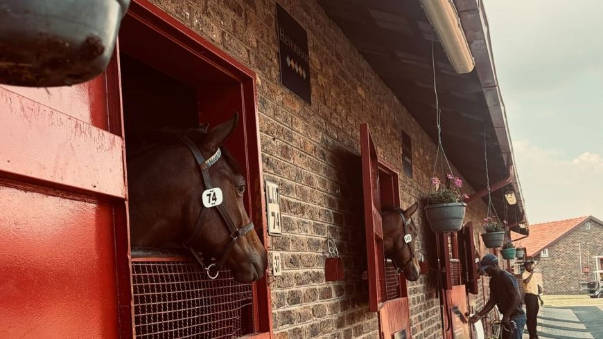 Buy Better: No VAT on our Fab Four!