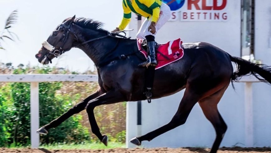 Red Lhasa wins at Fairview
