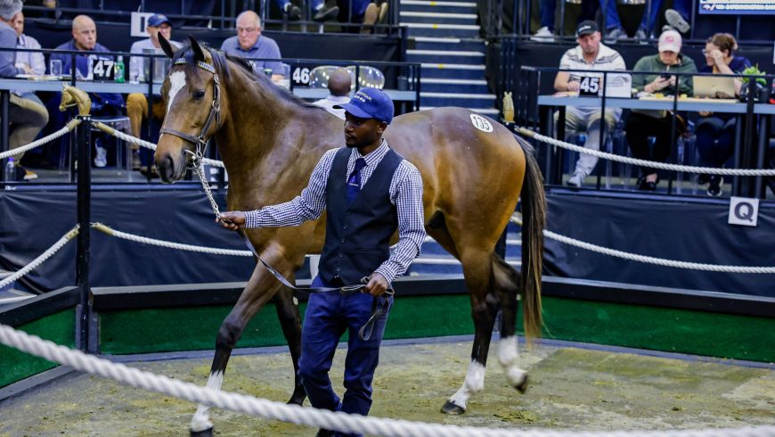 August Sale Proves There’s A Horse For Every Buyer