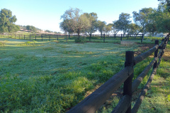 hev09325.jpg