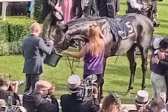 ASCOT7
