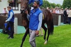 newmarket2.jpg