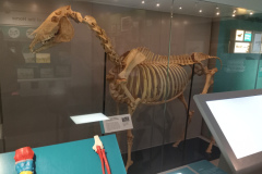 newmmuseum2.jpg