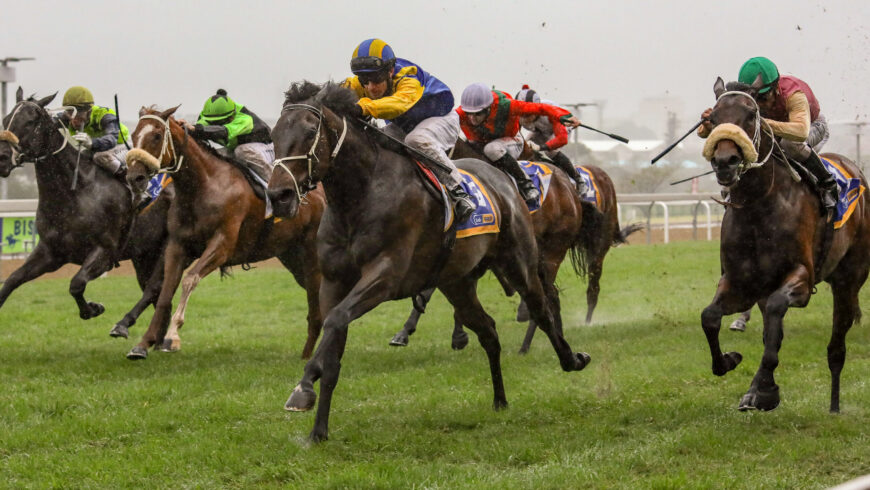 Another win for Moore, Golden Pheasant