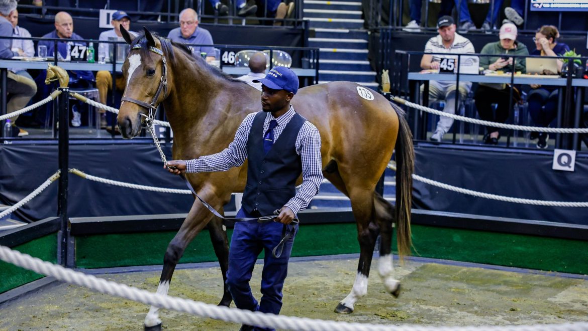 August Sale Proves There’s A Horse For Every Buyer